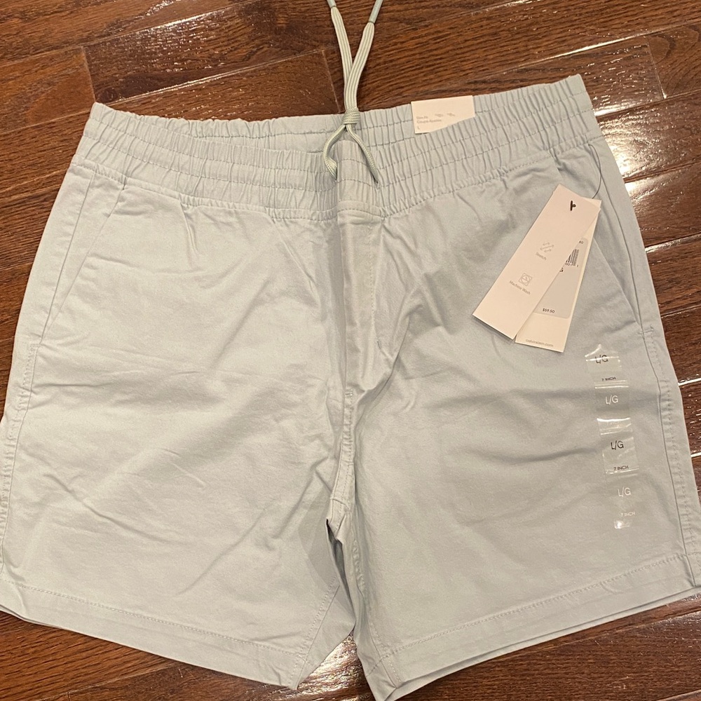 Light  mint green Drawstring Shorts